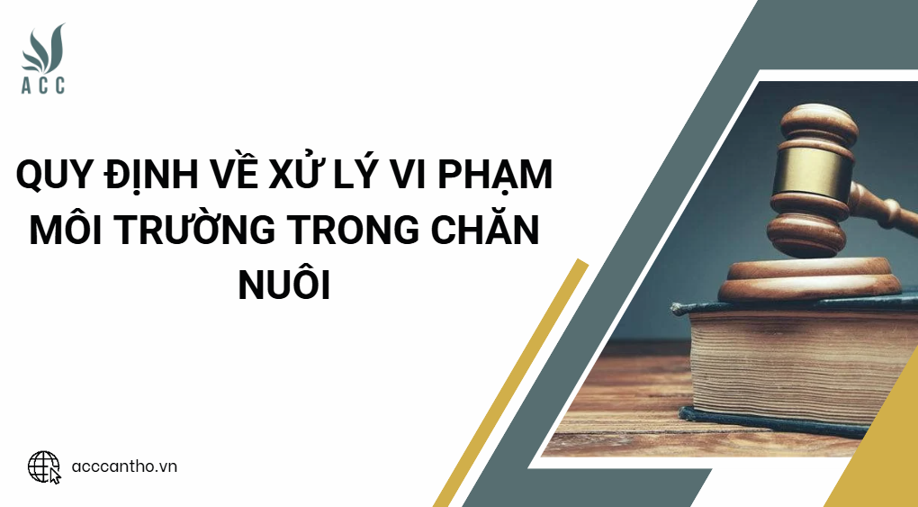 Quy định về xử lý vi phạm fv88 nhà cái trong chăn nuôi