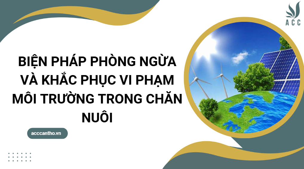 Biện pháp phòng ngừa và khắc phục vi phạm fv88 nhà cái trong chăn nuôi