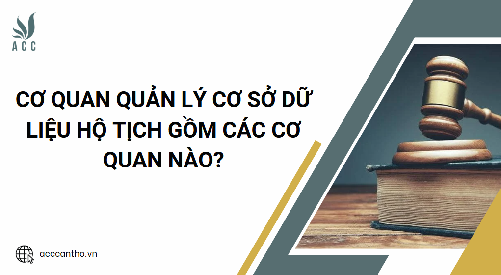 Cơ quan quản lý cơ sở dữ liệu hộ tịch gồm các cơ quan nào?