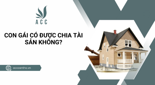 Con gái có được chia tài sản không?