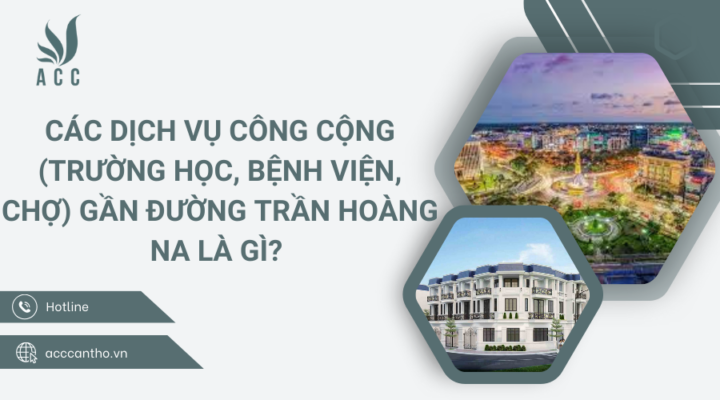 Các fv888 công cộng (trường học, bệnh viện, chợ) gần Đường Trần Hoàng Na là gì 