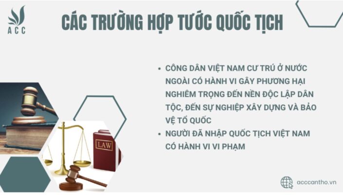 Các trường hợp tước quốc tịch