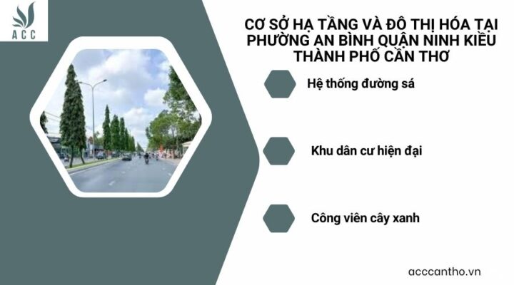 Cơ sở hạ tầng và đô thị hóa tại phường An Bình quận Ninh Kiều thành phố Cần Thơ