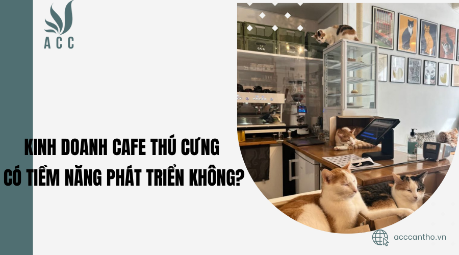 Kinh doanh cafe thú cưng có tiềm năng phát triển không?