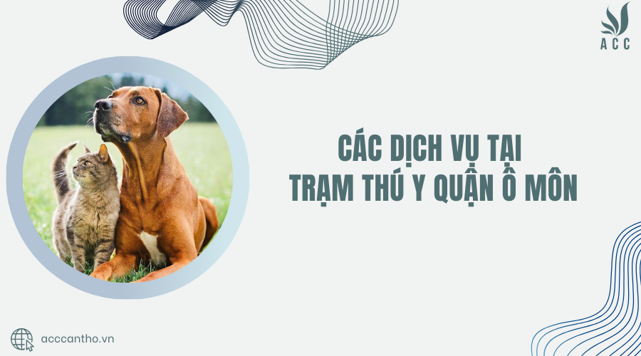 Các fv888 tại Trạm thú y Quận Ô Môn