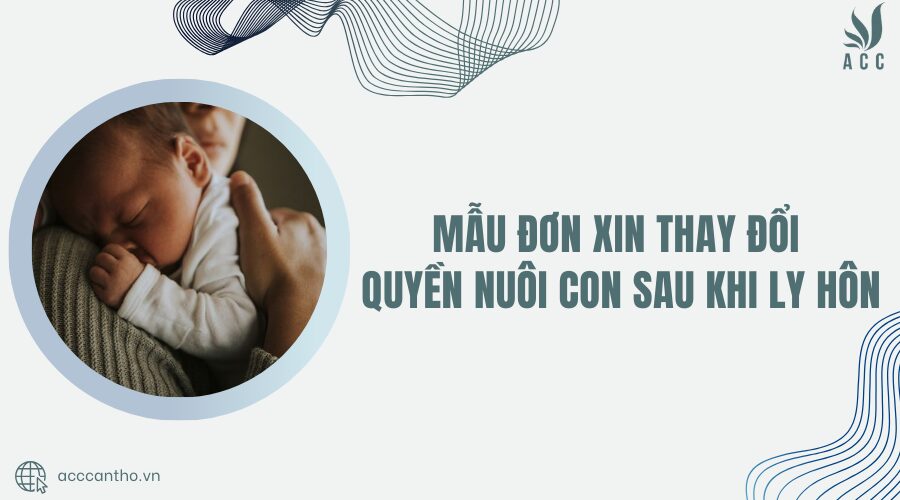 đơn xin thay đổi quyền nuôi con sau ly hôn