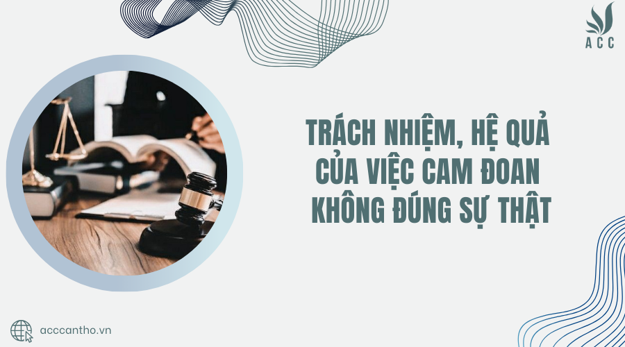 Trách nhiệm, hệ quả của việc cam đoan không đúng sự thật