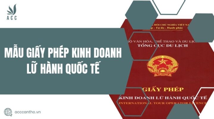 Mẫu giấy phép fv888 lữ hành quốc tế