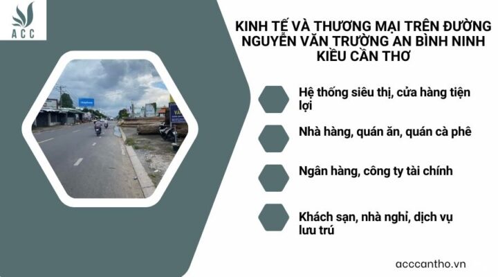 Kinh tế và thương mại trên đường Nguyễn Văn Trường An Bình Ninh Kiều Cần Thơ