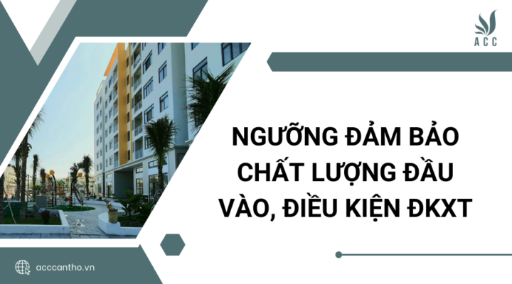 Ngưỡng đảm bảo chất lượng đầu vào, điều kiện ĐKXT