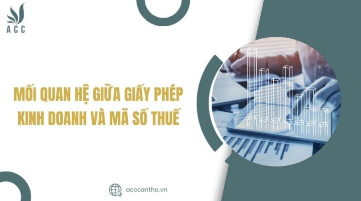 Mối quan hệ giữa giấy ph&eacute;p fv888 v&agrave; m&atilde; số thuế