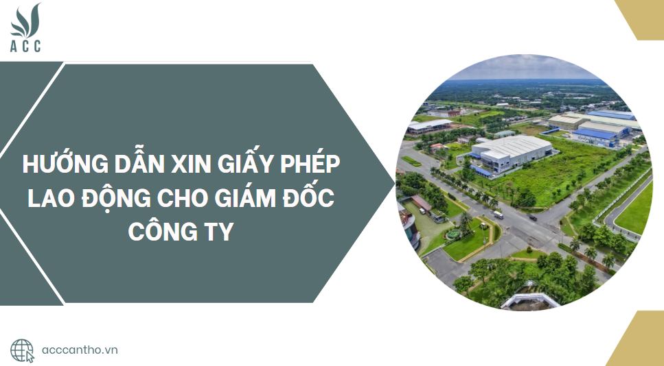 Hướng dẫn xin giấy phép fv88 link cho giám đốc công ty