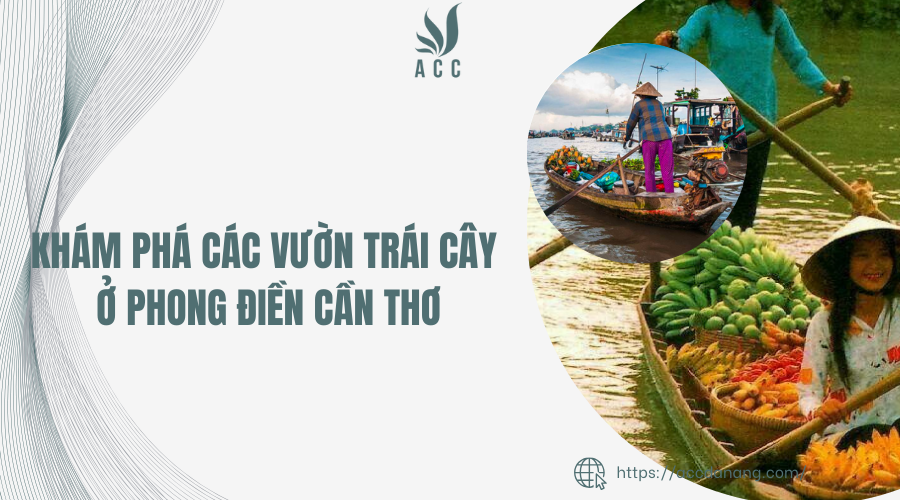 Khám phá các vườn trái cây ở Phong Điền Cần Thơ