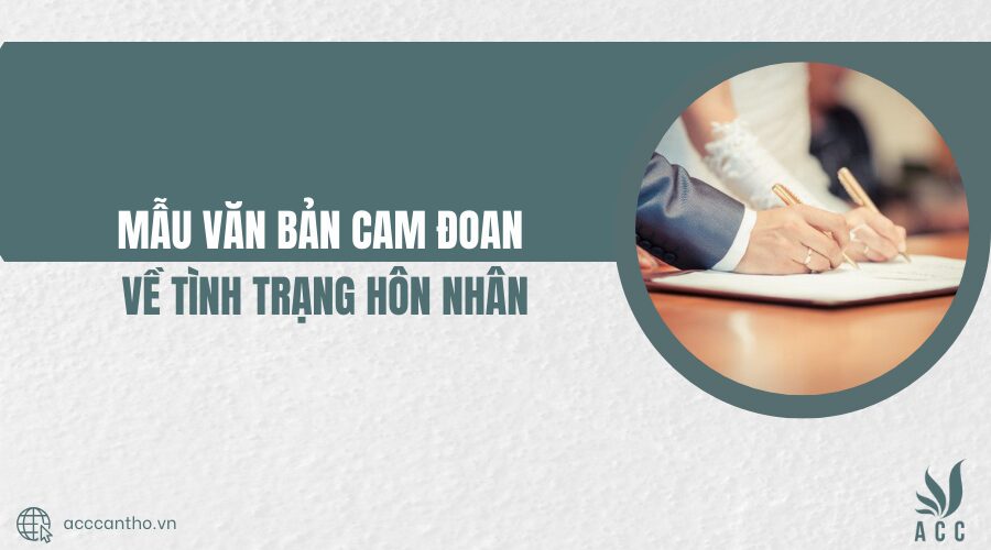 Mẫu văn bản cam đoan về tình trạng hôn nhân