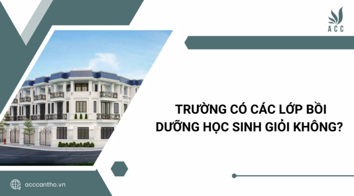 Trường có các lớp bồi dưỡng học sinh giỏi không