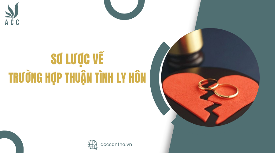 Sơ lược về trường hợp thuận tình ly hôn