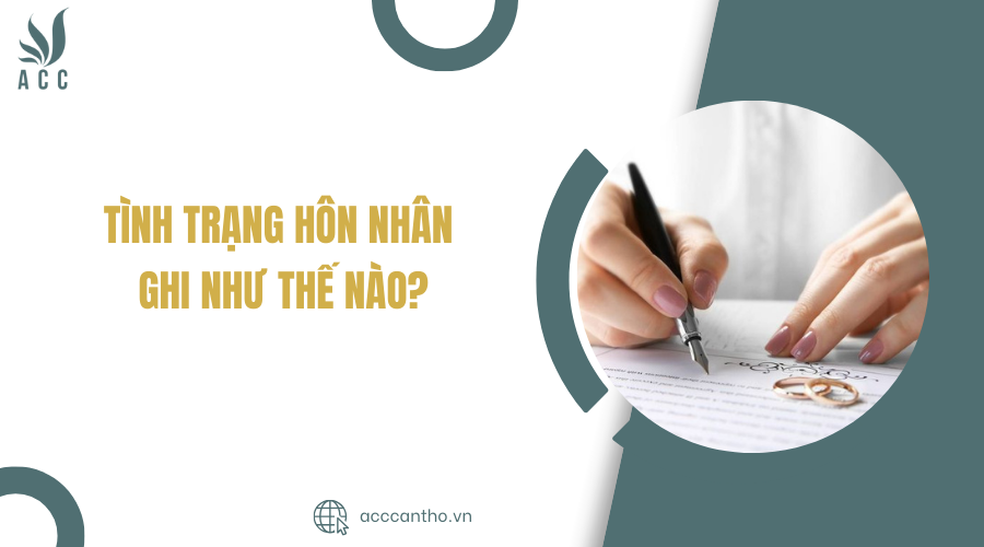Tình trạng hôn nhân ghi như thế nào?
