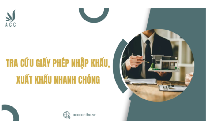 Tra cứu giấy phép nhập khẩu, xuất khẩu nhanh chóng