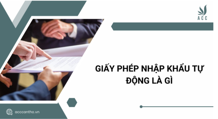 fv88 nhập khẩu tự động là gì?