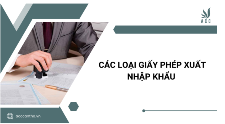 Các loại giấy phép xuất nhập khẩu