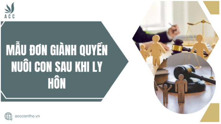 Mẫu đơn giành quyền nuôi con sau khi ly hôn