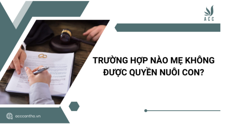 Trường hợp nào mẹ không được quyền nuôi con