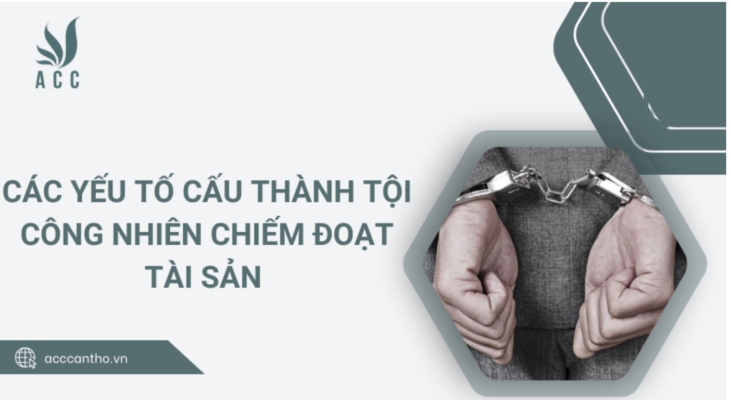 Các yếu tố cấu thành tội công nhiên chiếm đoạt tài sản 