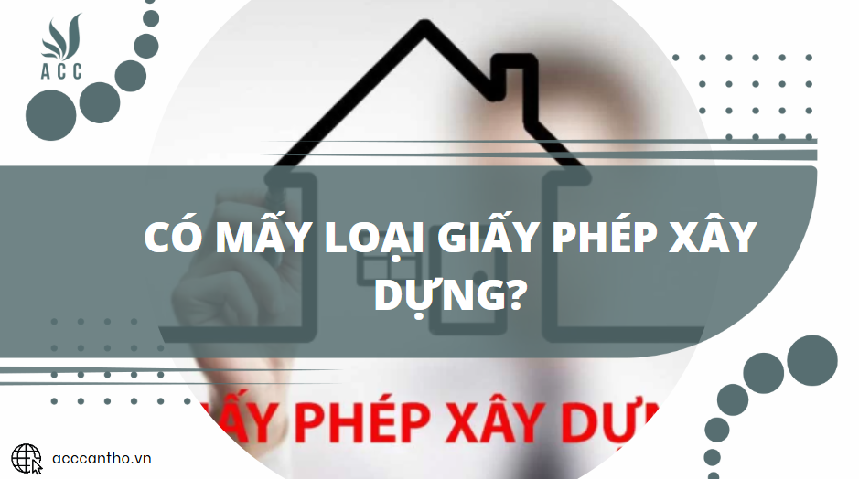 Có mấy loại giấy phép fv88 vn?