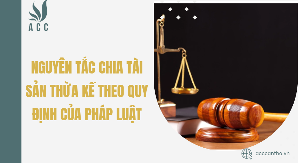 Nguyên tắc chia tài sản thừa kế theo quy định của pháp luật