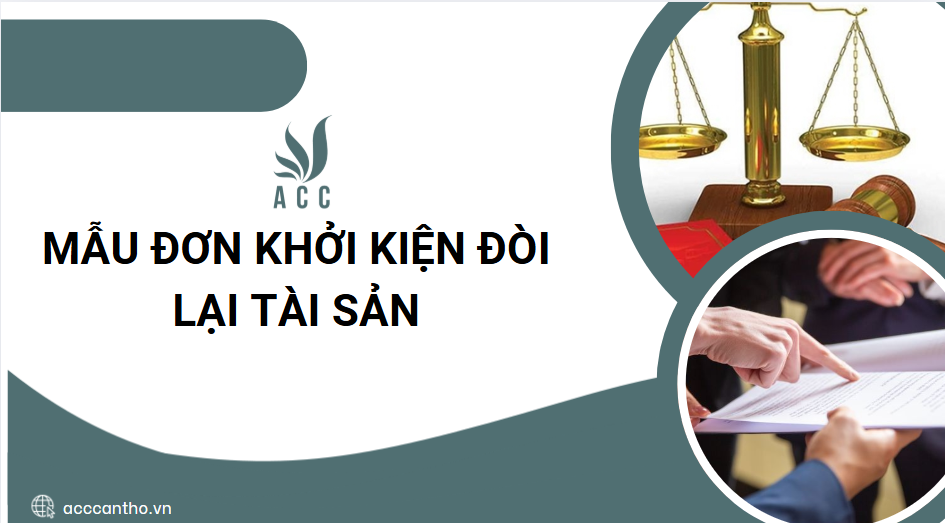 Mẫu đơn khởi kiện đòi lại tài sản