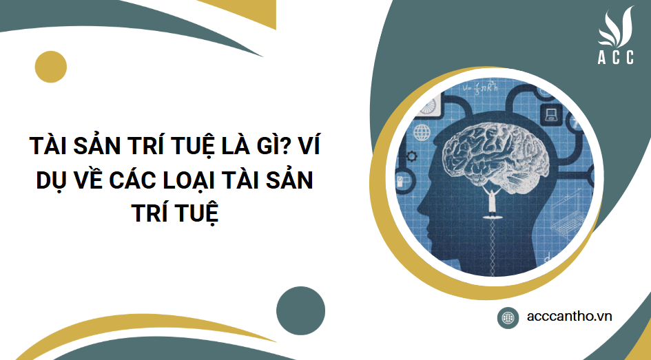 Tài sản trí tuệ là gì? Ví dụ về các loại tài sản trí tuệ