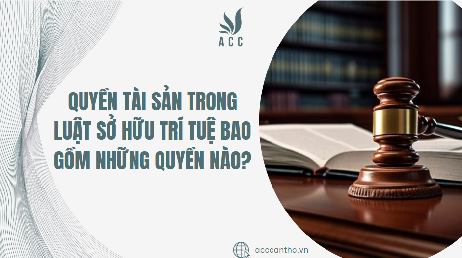 Quyền tài sản trong Luật Sở hữu trí tuệ bao gồm những quyền nào?