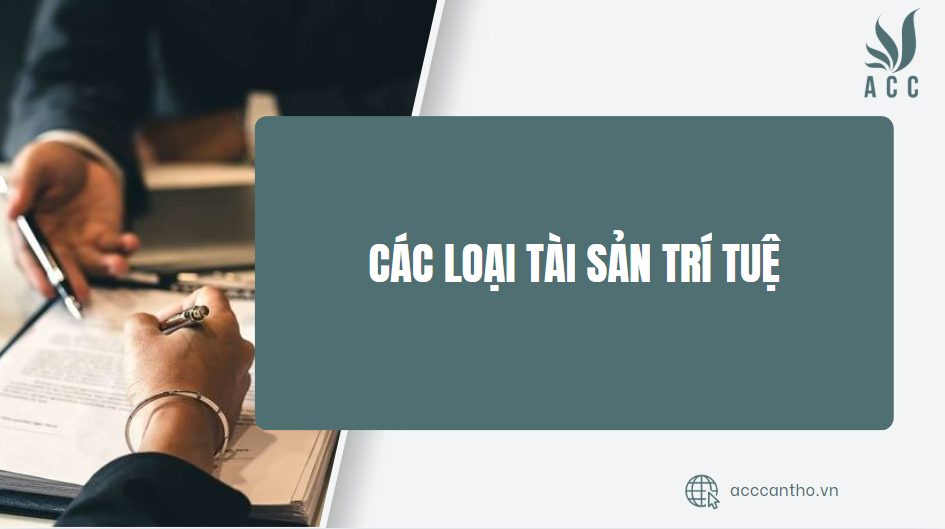Các loại tài sản trí tuệ