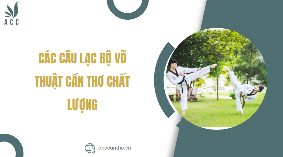 Các câu lạc bộ võ thuật Cần Thơ chất lượng