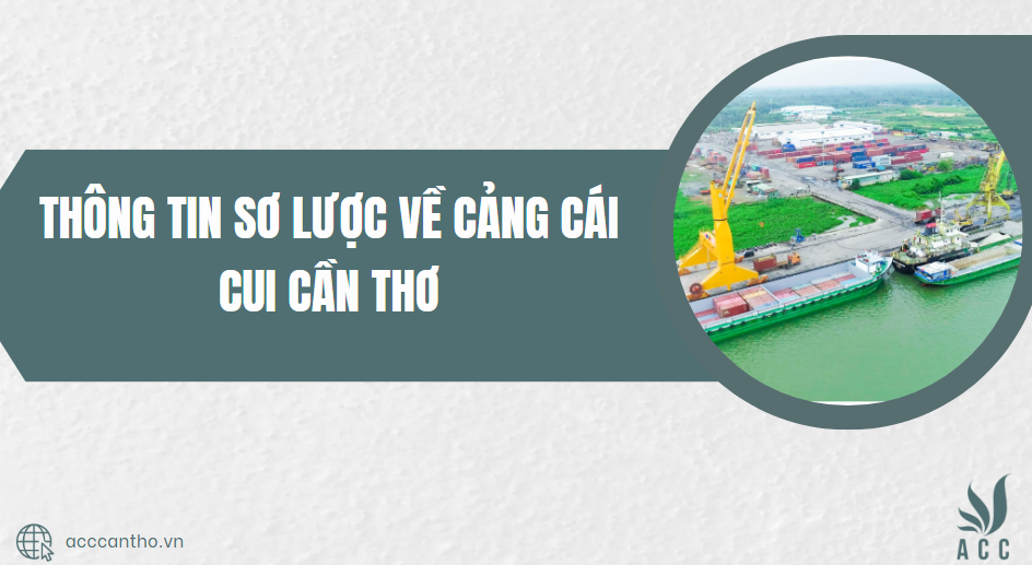 Thông tin sơ lược về Cảng Cái Cui Cần Thơ