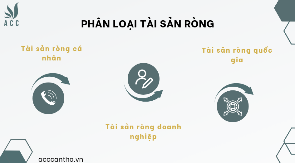 Phân loại tài sản ròng