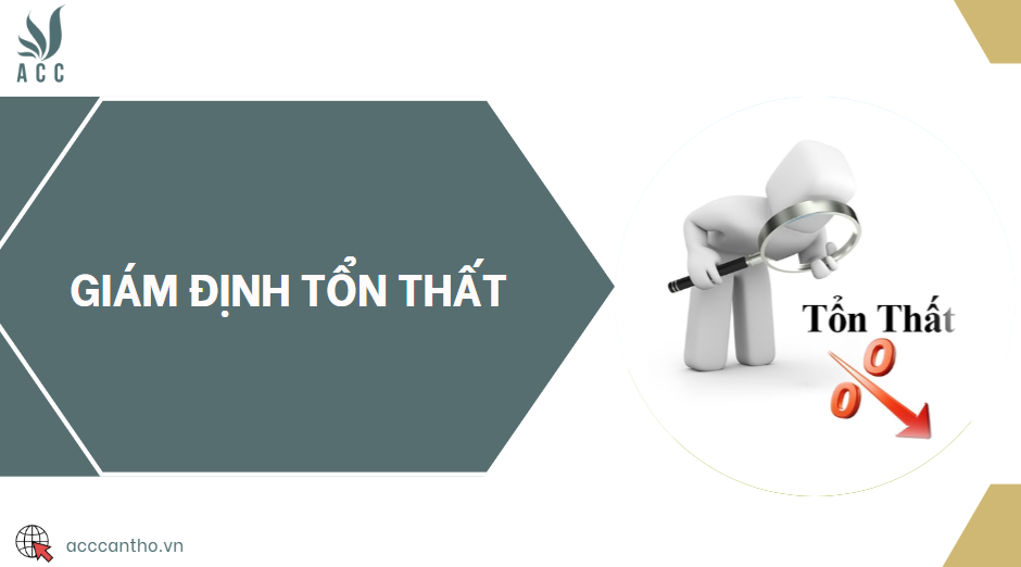Giám định tổn thất 