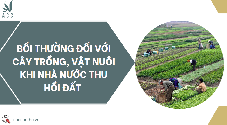 Bồi thường đối với cây trồng, vật nuôi khi Nhà nước thu hồi đất