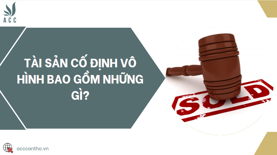 Tài sản cố định vô hình bao gồm những gì?