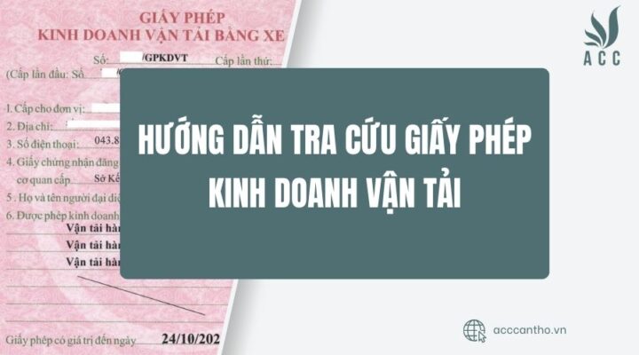 Hướng dẫn tra cứu giấy phép fv888 vận tải