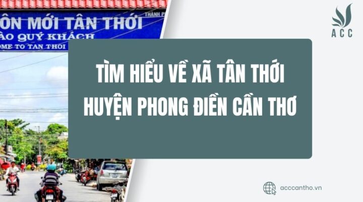 Tìm hiểu về Xã Tân Thới Huyện Phong Điền Cần Thơ