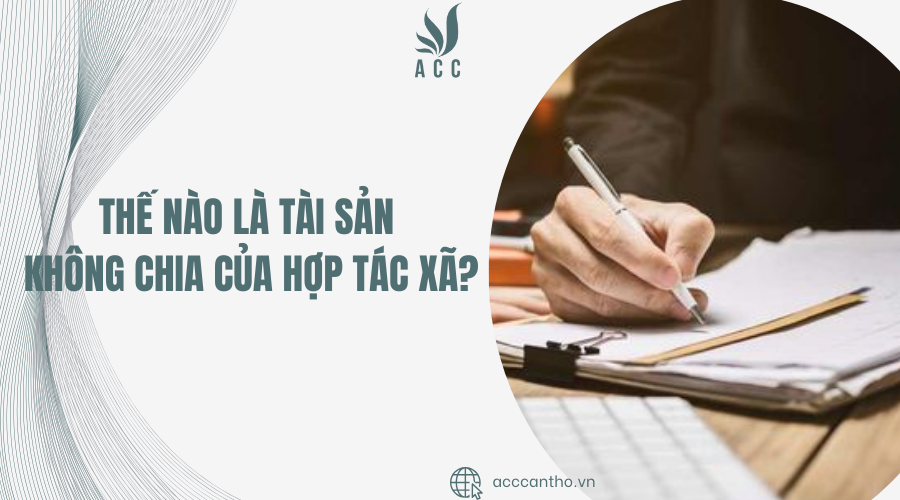 tài sản không chia của hợp tác xã