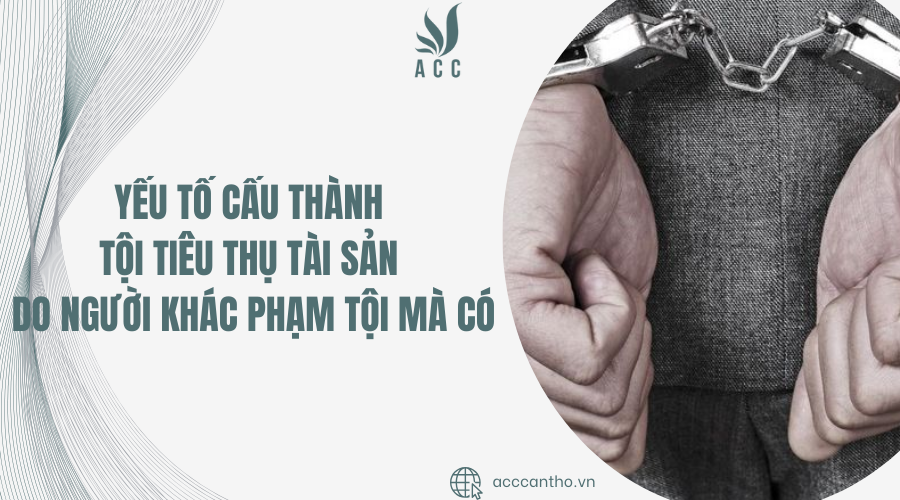 yếu tố cấu thành tội tiêu thụ tài sản