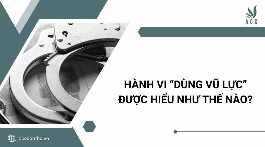 Hành vi “dùng vũ lực” được hiểu như thế nào?