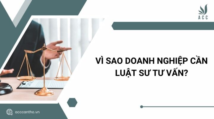 Vì Sao Doanh Nghiệp Cần Luật Sư Tư Vấn?
