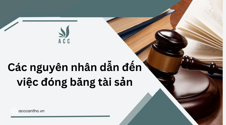 Các nguyên nhân dẫn đến việc đóng băng tài sản