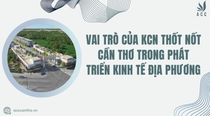 Vai trò của KCN Thốt Nốt Cần Thơ trong phát triển kinh tế địa phương