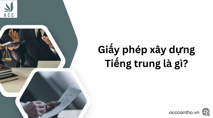 fv88 fv88 vn Tiếng trung là gì?