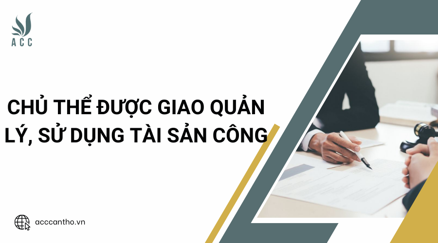 Chủ thể được giao quản lý, sử dụng tài sản công