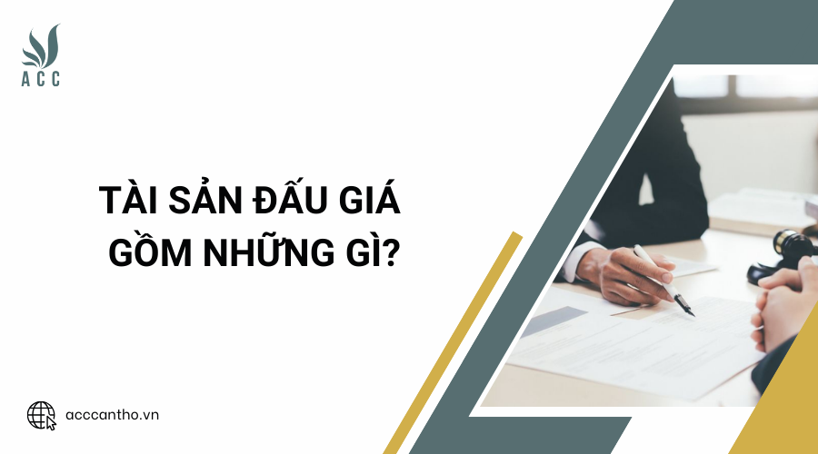 Tài sản đấu giá gồm những gì?